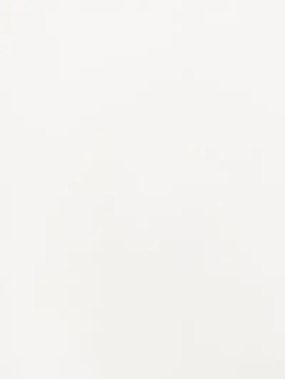 White High Gloss HS204, swatch