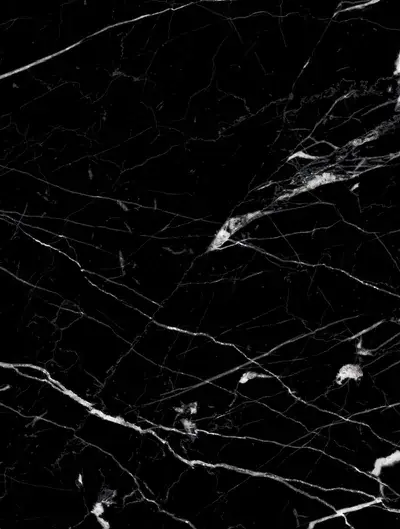Nero Marquina Marble NS804, swatch