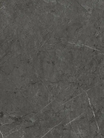 Pietra Dark Grey Marble PM007, swatch