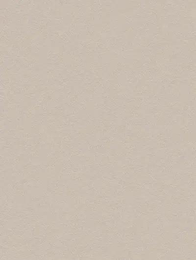Premium Painted Concrete PNC43, swatch