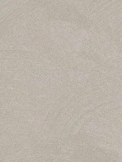 Premium Painted Concrete PNC45, swatch