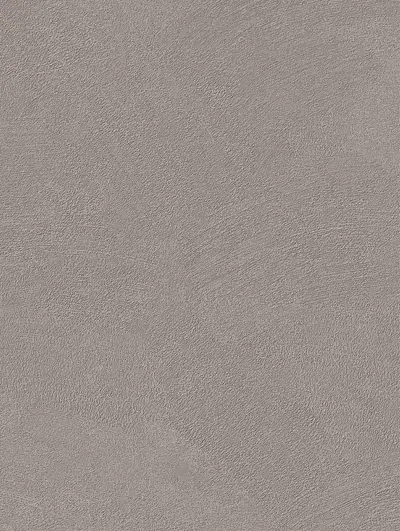 Iron Gray Concrete PNC46, swatch