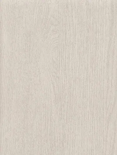 Ash Gray PNT04, swatch