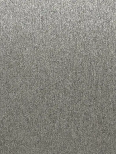 Antique Brushed Silver RM002, swatch