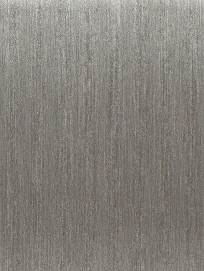 Brushed Silver RM005, swatch