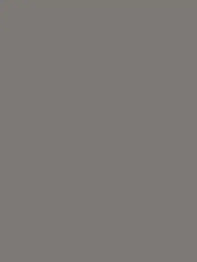 Stone Gray S143, swatch