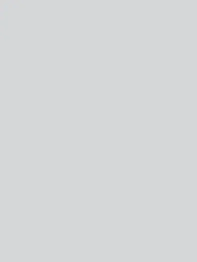 Light Gray S153, swatch