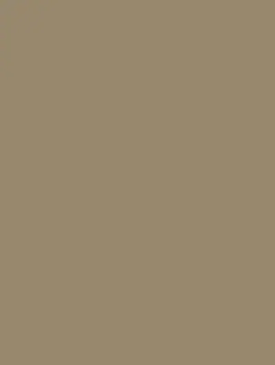 Solid Gray S157, swatch