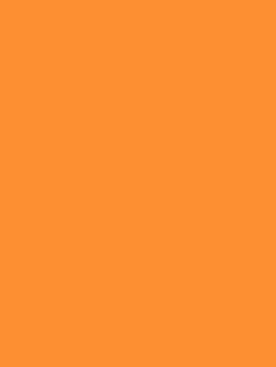 Solid Orange S169, swatch