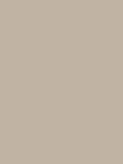 Simply Taupe S181, swatch