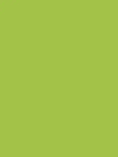 Bright Green S189, swatch