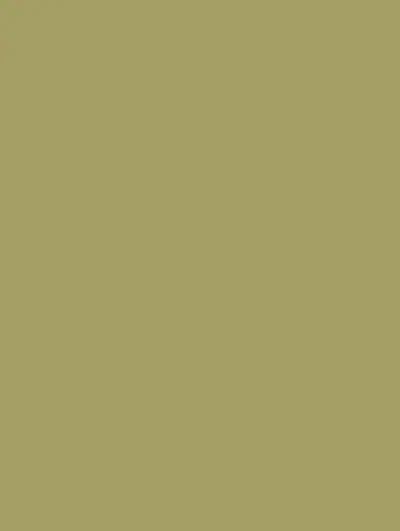 Olive Green S200, swatch