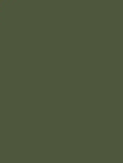 Moss Green S202, swatch
