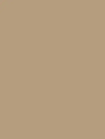 Almond Latte S215, swatch
