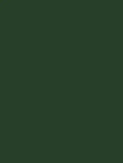 Forest Beauty S233, swatch