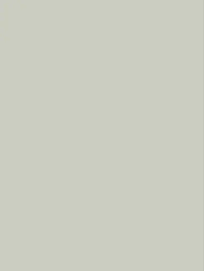 Solid Greige S239, swatch