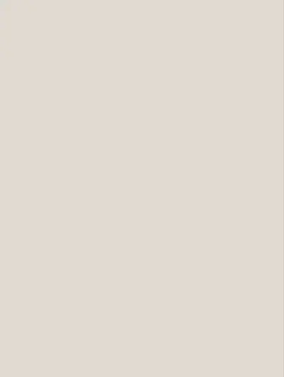 Solid Gray S240, swatch
