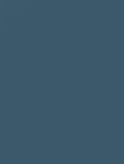 Denim Blue S242, swatch