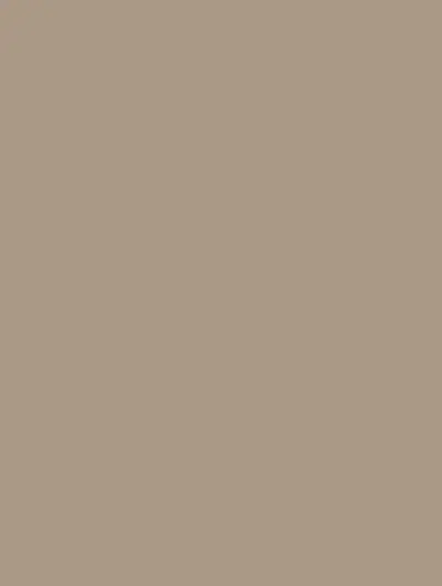 Coffee Latte S246, swatch