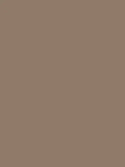 Double Latte S247, swatch