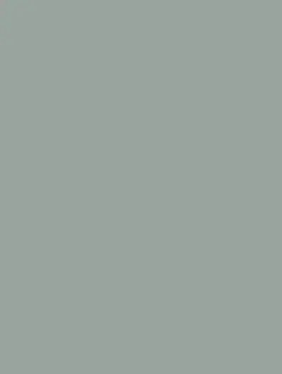 Mint Green S248, swatch