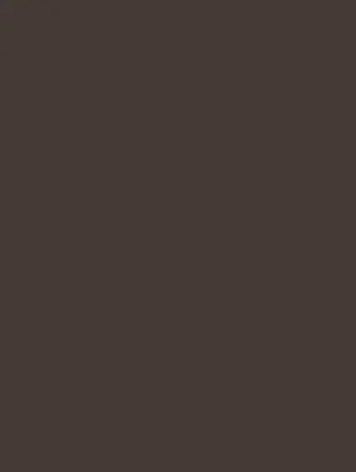 Chocolate S253, swatch