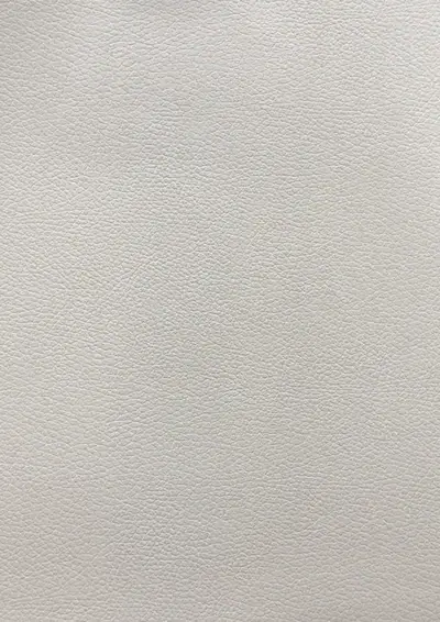 Soft Leather Light SL401, swatch