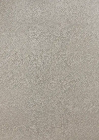 Steel Grey SL402, swatch