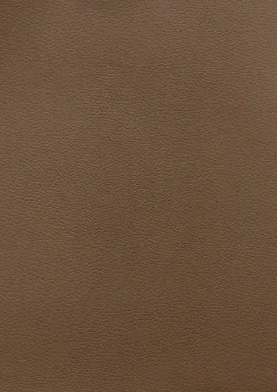 Anthracite SL403, swatch