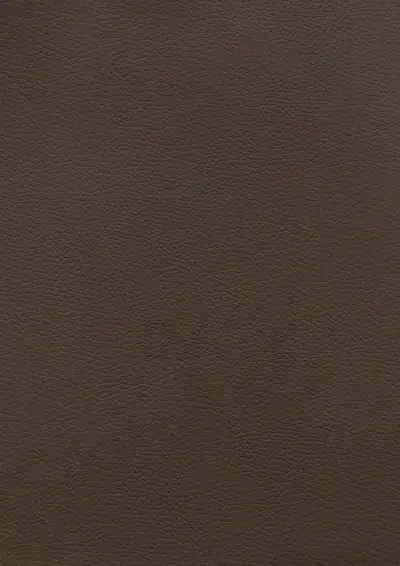 Midnight Black SL404, swatch