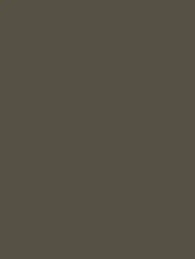 Matte Gray SMT08, swatch
