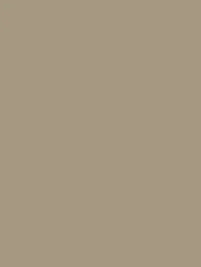 Gray-Brown SMT14, swatch