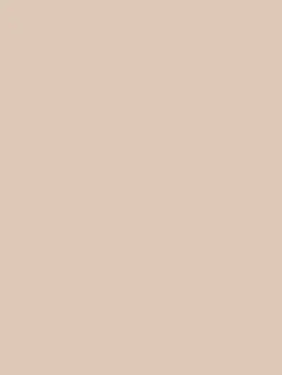 Tan Brown SMT21, swatch