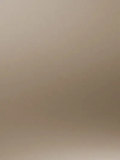 Light Brown Velvet Metal VM908, swatch