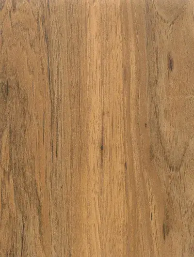 Rich Walnut W141, swatch