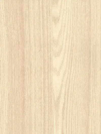Ash W389, swatch