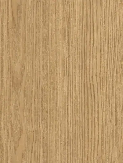 Ash ZX109, swatch